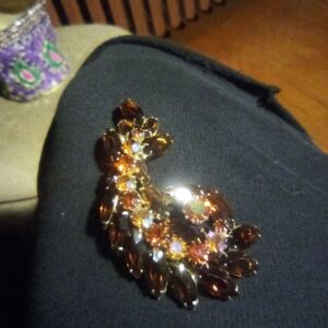 Beautiful Brooch/Pin